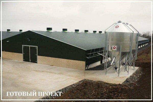 Этапы возведения птицефабрики от завода ВелесТент-нрф